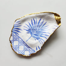 Load image into Gallery viewer, Brahea