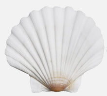 Load image into Gallery viewer, Two Hearts