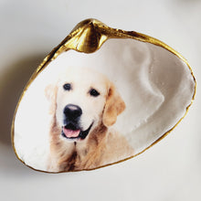 Load image into Gallery viewer, Dogs