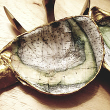 Load image into Gallery viewer, Take me to the Cape