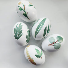 Load image into Gallery viewer, Egg Verde
